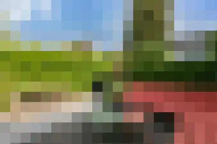 Ridderspoor 3 Hoevelaken thumbnail 37