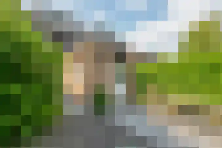 Ridderspoor 3 Hoevelaken thumbnail 39
