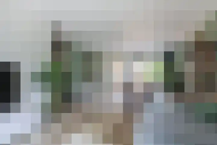 Ridderspoor 3 Hoevelaken thumbnail 4