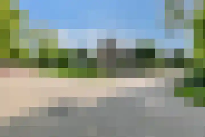 Ridderspoor 3 Hoevelaken thumbnail 42