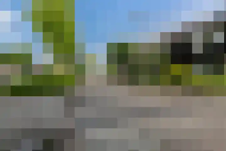 Ridderspoor 3 Hoevelaken thumbnail 43