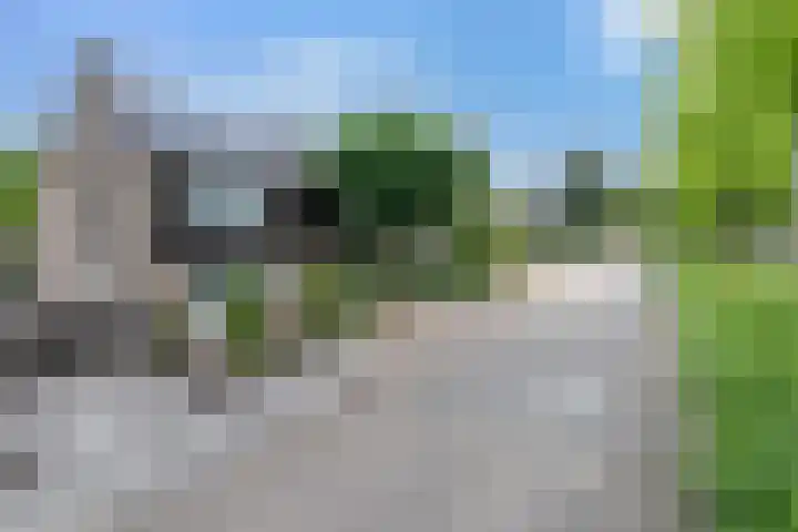Ridderspoor 3 Hoevelaken thumbnail 44