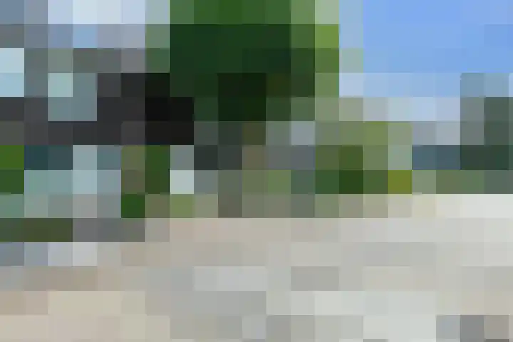 Ridderspoor 3 Hoevelaken thumbnail 46