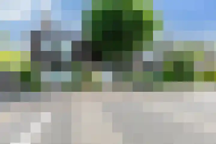 Ridderspoor 3 Hoevelaken thumbnail 48