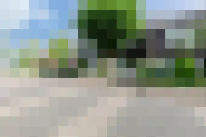 Ridderspoor 3 Hoevelaken thumbnail 49