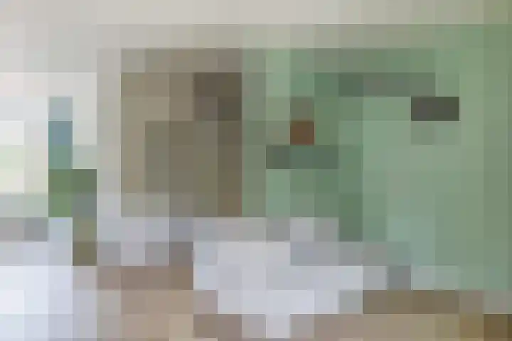 Ridderspoor 3 Hoevelaken thumbnail 9