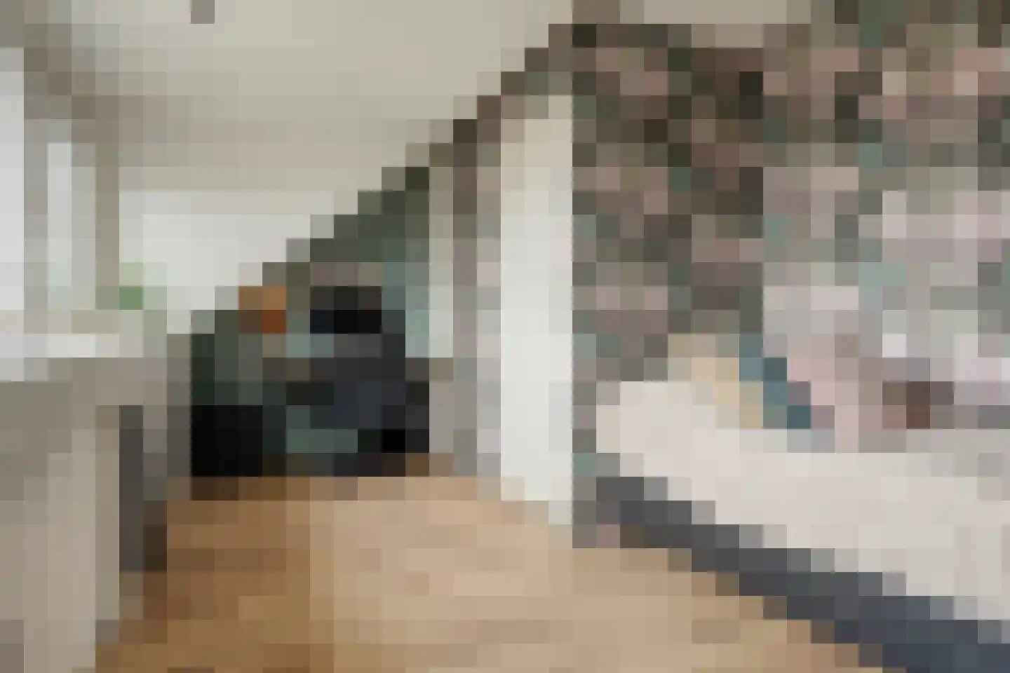 Ridderspoor 3 Hoogvliet Rotterdam thumbnail 18