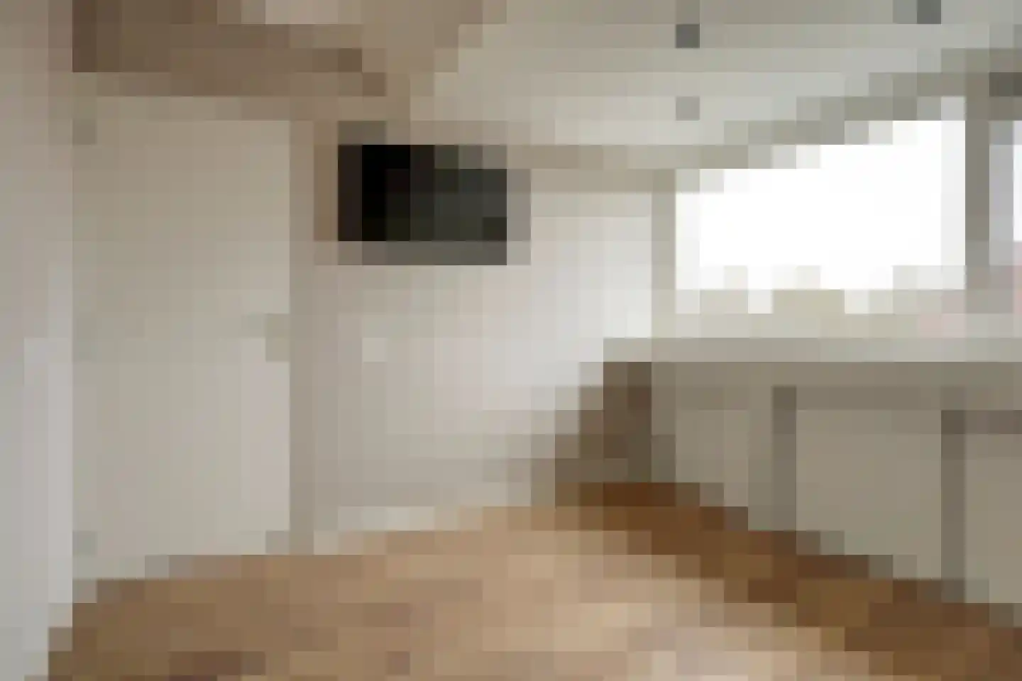 Ridderspoor 3 Hoogvliet Rotterdam thumbnail 22
