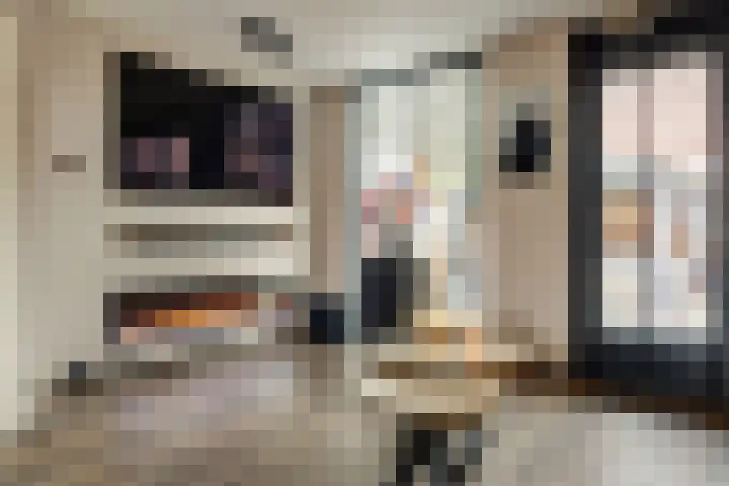 Ridderspoor 3 Hoogvliet Rotterdam thumbnail 7