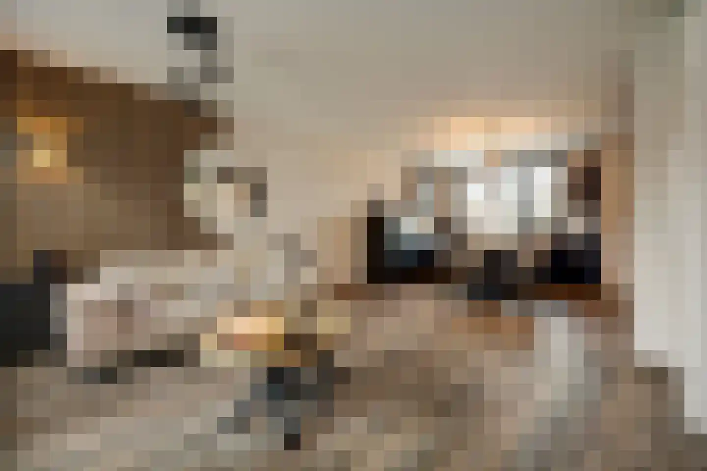 Ridderspoor 3 Hoogvliet Rotterdam thumbnail 8