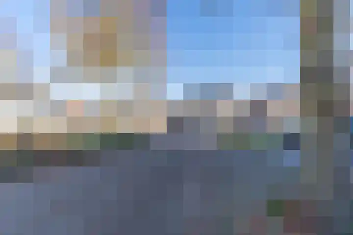 Ridderspoor 3 Venray thumbnail 10