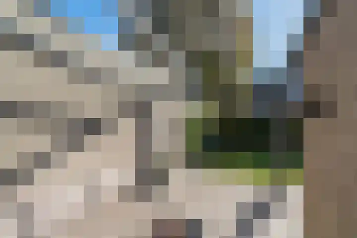Ridderspoor 3 Venray thumbnail 11