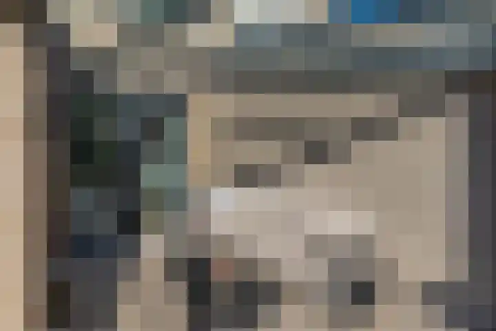 Ridderspoor 3 Venray thumbnail 12