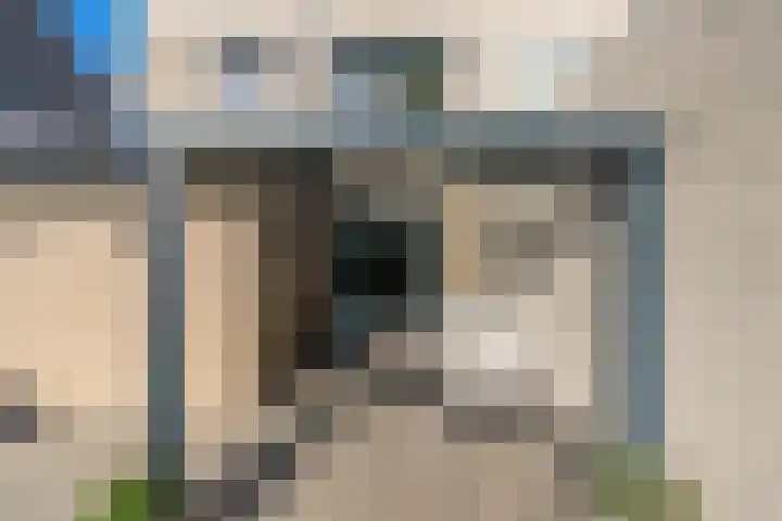 Ridderspoor 3 Venray thumbnail 13