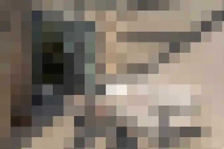Ridderspoor 3 Venray thumbnail 14