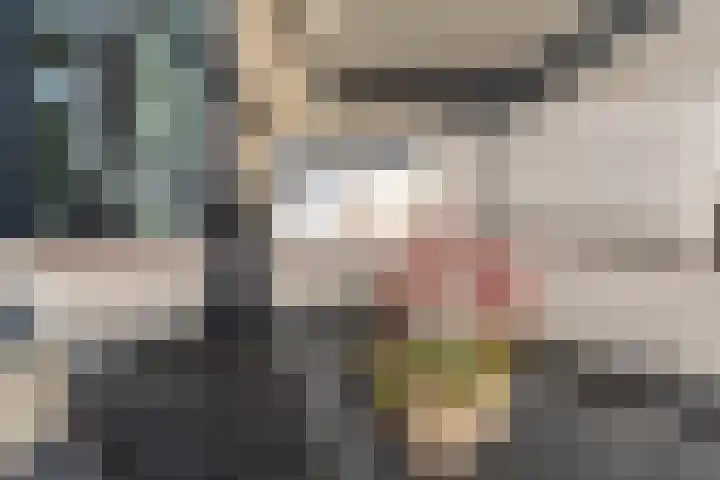 Ridderspoor 3 Venray thumbnail 15