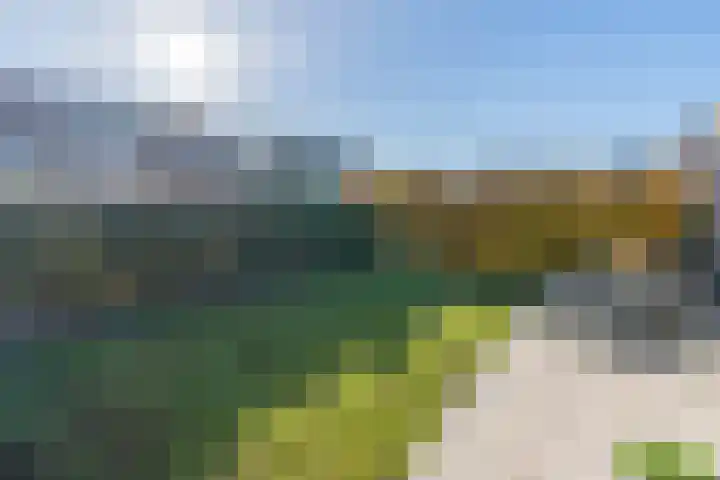 Ridderspoor 3 Venray thumbnail 16