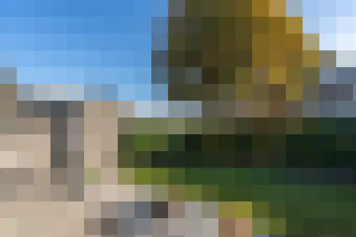 Ridderspoor 3 Venray thumbnail 19
