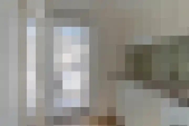 Ridderspoor 3 Venray thumbnail 21