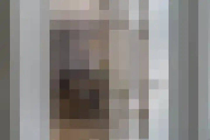 Ridderspoor 3 Venray thumbnail 24