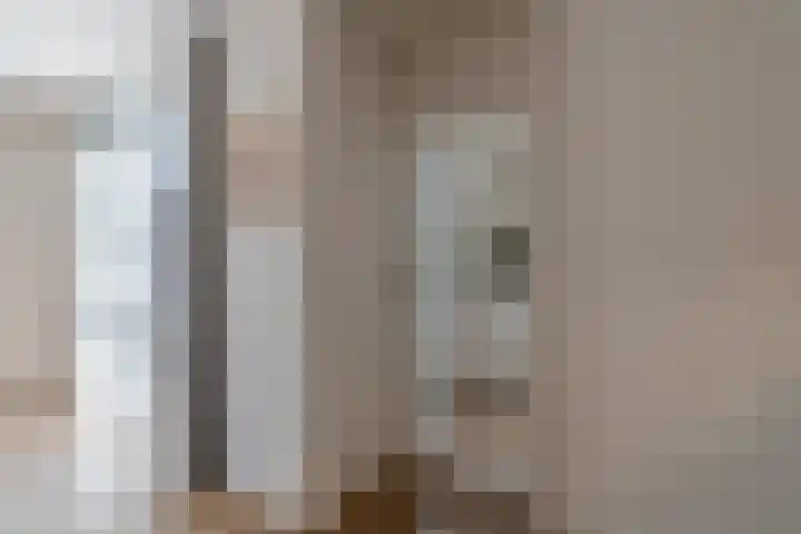 Ridderspoor 3 Venray thumbnail 25