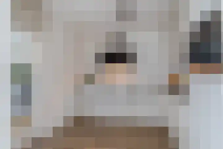 Ridderspoor 3 Venray thumbnail 27