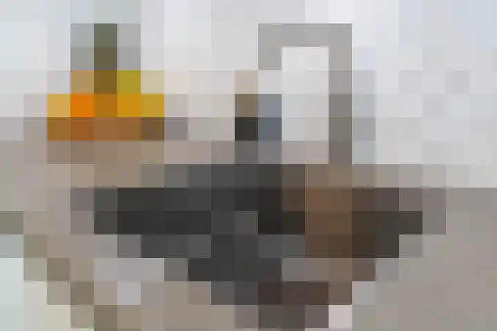 Ridderspoor 3 Venray thumbnail 28