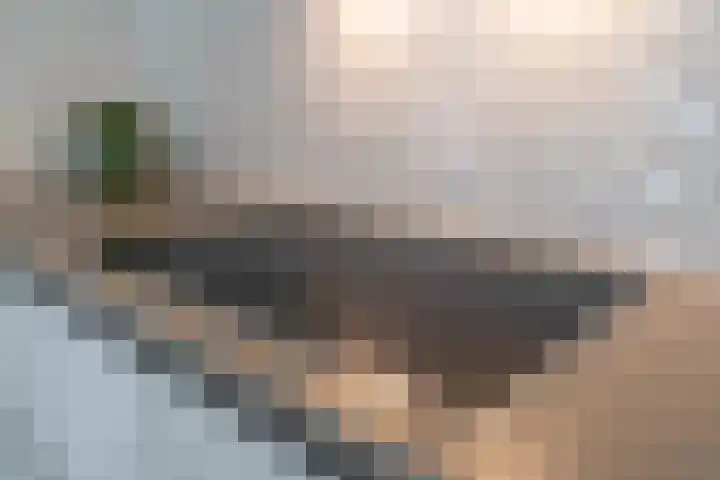 Ridderspoor 3 Venray thumbnail 29
