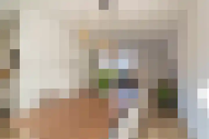 Ridderspoor 3 Venray thumbnail 32