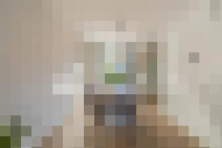 Ridderspoor 3 Venray thumbnail 33