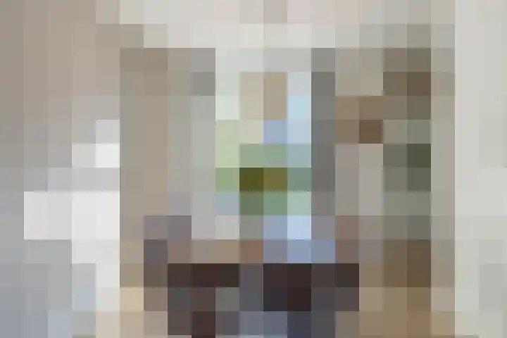 Ridderspoor 3 Venray thumbnail 34