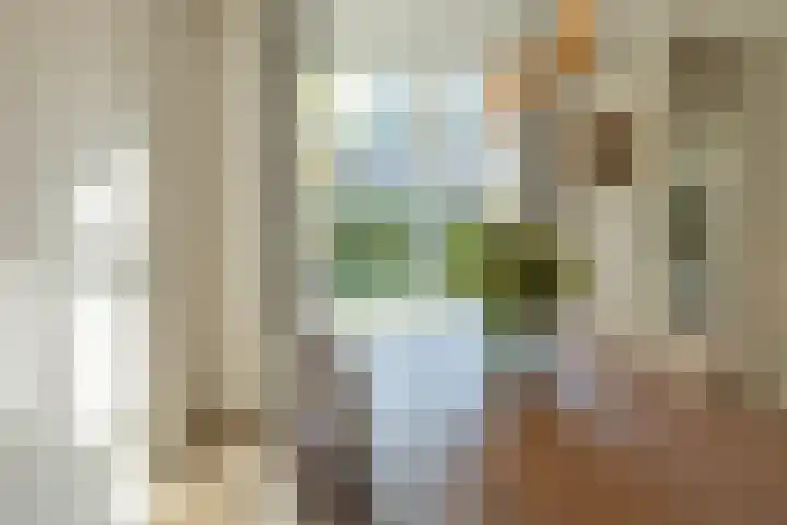 Ridderspoor 3 Venray thumbnail 35