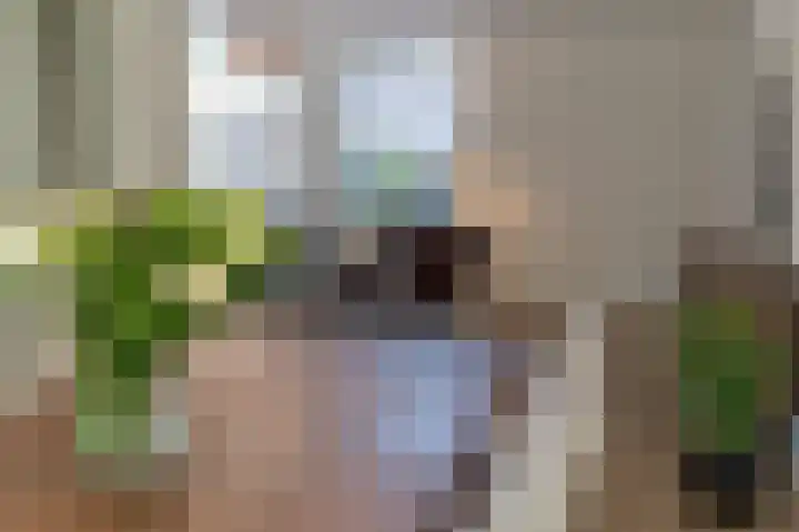 Ridderspoor 3 Venray thumbnail 36