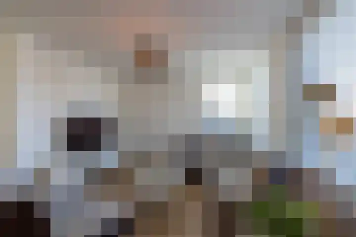 Ridderspoor 3 Venray thumbnail 39