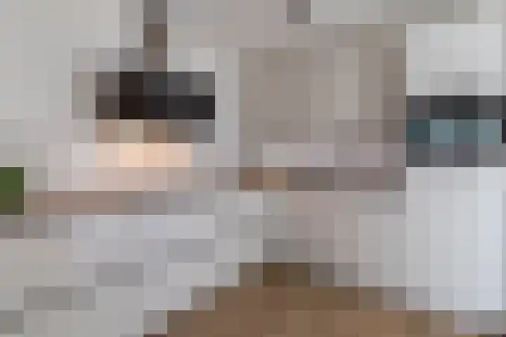 Ridderspoor 3 Venray thumbnail 4