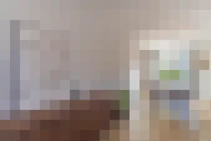 Ridderspoor 3 Venray thumbnail 42