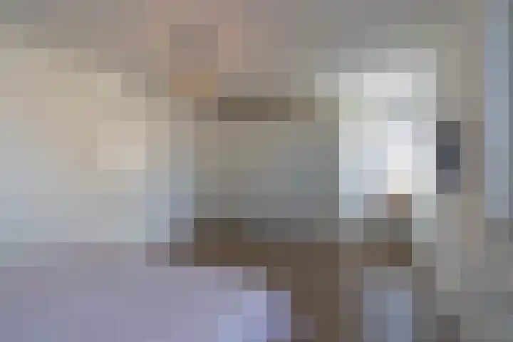 Ridderspoor 3 Venray thumbnail 50