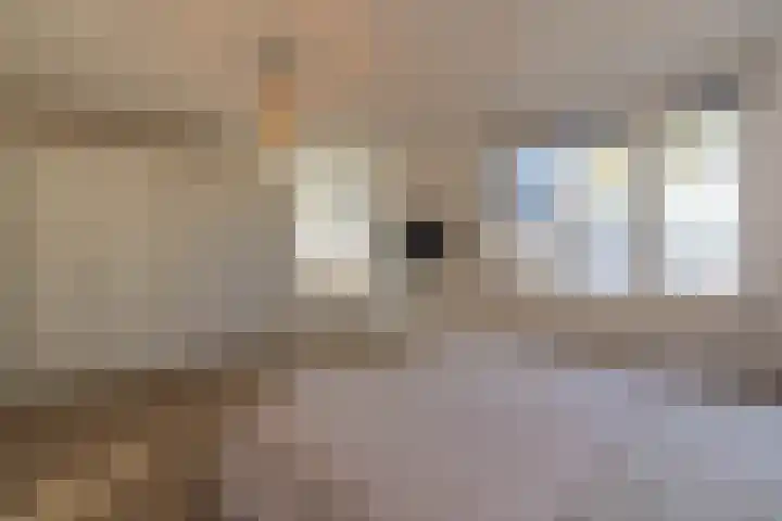 Ridderspoor 3 Venray thumbnail 51