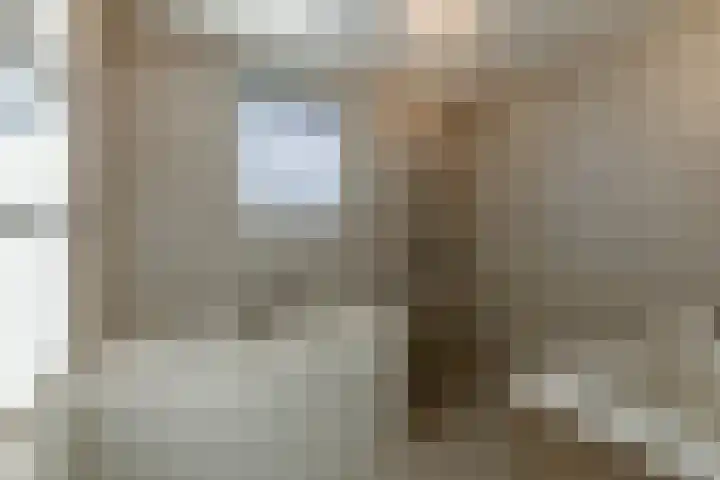 Ridderspoor 3 Venray thumbnail 54