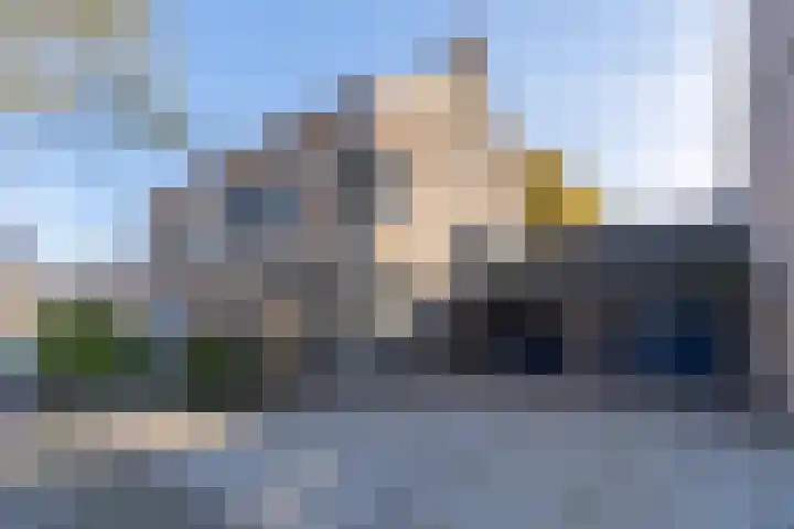 Ridderspoor 3 Venray thumbnail 6