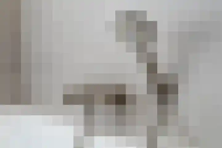 Ridderspoor 3 Venray thumbnail 60