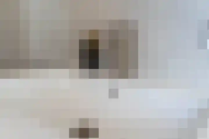 Ridderspoor 3 Venray thumbnail 61