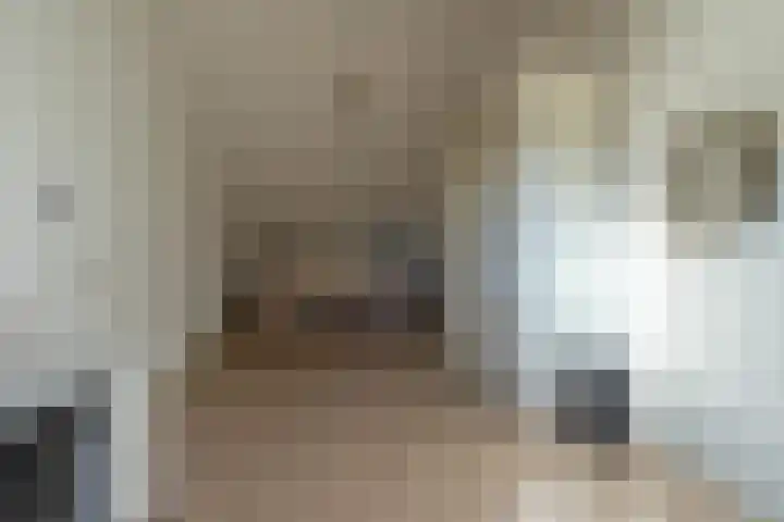 Ridderspoor 3 Venray thumbnail 64