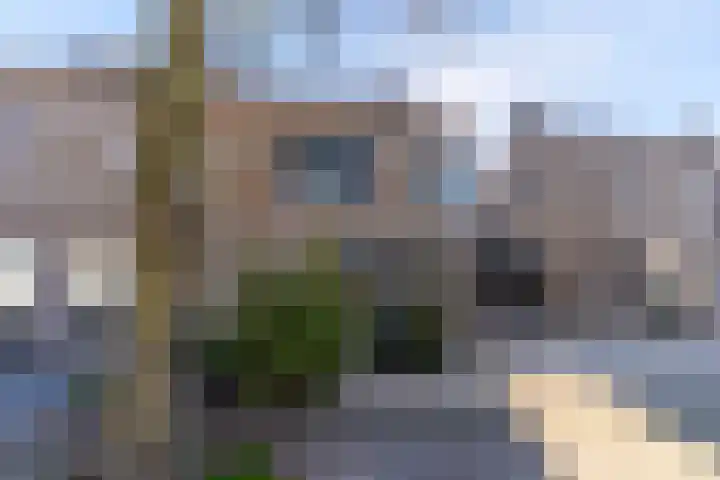 Ridderspoor 3 Venray thumbnail 7