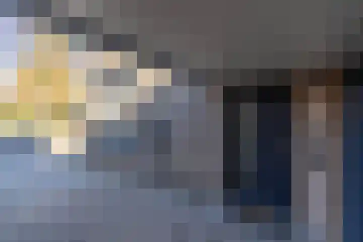 Ridderspoor 3 Venray thumbnail 8