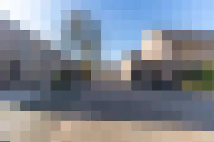 Ridderspoor 3 Venray thumbnail 9