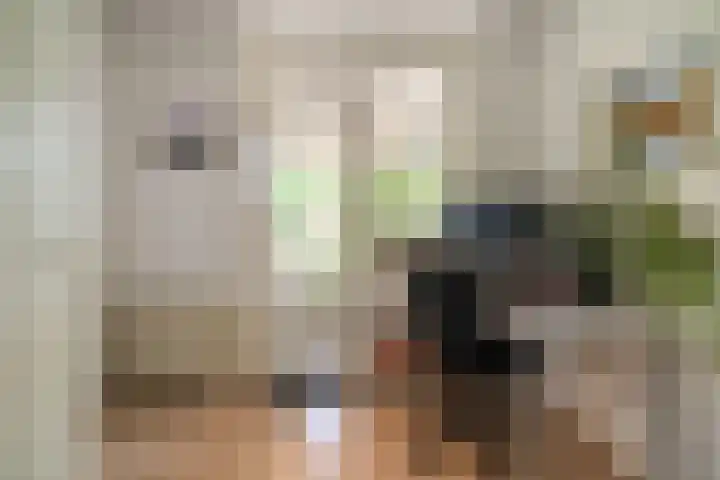 Ridderspoor 31 Nijmegen thumbnail 13