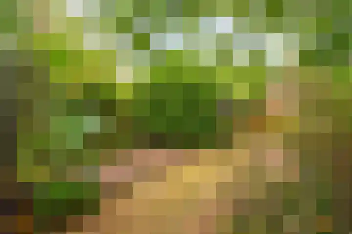 Ridderspoor 31 Nijmegen thumbnail 15