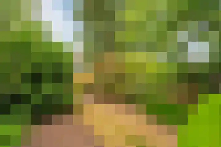 Ridderspoor 31 Nijmegen thumbnail 16