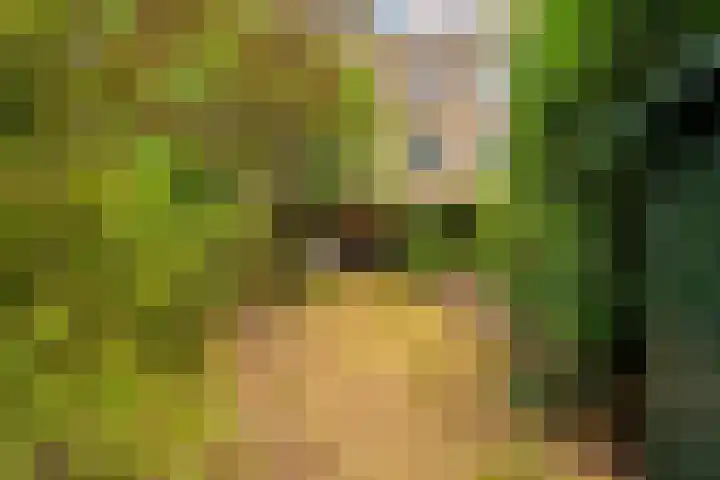Ridderspoor 31 Nijmegen thumbnail 17